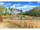 Backyard pond surrounded by mature trees, offering a tranquil and private natural setting at 536 Gusty Ln, Zebulon, NC 27597
