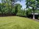 Lush backyard featuring green turf, privacy fence and mature trees at 602 Shelley Rd, Raleigh, NC 27609