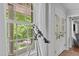 Window overlooking the front yard, with telescope at 1107 Daleland Dr, Raleigh, NC 27612
