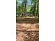 Secluded backyard shed surrounded by trees and pine needles at 113 Colonial Dr, Wendell, NC 27591