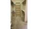 Carpeted walk-in closet with shelves and clothes rods provides storage space at 113 Colonial Dr, Wendell, NC 27591