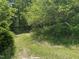 Scenic view of the property featuring a winding path through lush, mature trees at 113 Pineview Dr, Louisburg, NC 27549