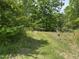 Inviting trail weaving through a tree-lined property, promising exploration and natural beauty at 113 Pineview Dr, Louisburg, NC 27549