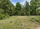 Picturesque grassy lot surrounded by trees, offering a peaceful and private setting at 113 Pineview Dr, Louisburg, NC 27549