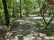 A serene nature path winds through a wooded area, promising peaceful walks and a connection with the outdoors at 113 Pineview Dr, Louisburg, NC 27549