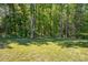 Expansive backyard with lush green grass, mature trees providing shade, and a serene wooded backdrop at 1557 Tice Hurst Ln, Apex, NC 27502