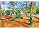 Community playground featuring slides and a climbing structure amidst a wooded area and pine-covered ground at 212 Ronaldsby Dr, Cary, NC 27511