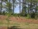 A backyard setting with trees and foliage. The trees give it a sense of privacy and seclusion at 2201 Lambert Rd # 66, Cary, NC 27519