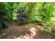 Backyard featuring mature trees and greenery for outdoor enjoyment at 244 Sweet Bay Pl, Carrboro, NC 27510