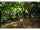 Lush backyard featuring a wooden deck surrounded by mature trees and greenery for outdoor enjoyment at 244 Sweet Bay Pl, Carrboro, NC 27510