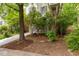 Charming home exterior with landscaped front yard, mature trees, and a welcoming entryway at 244 Sweet Bay Pl, Carrboro, NC 27510