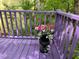Cozy porch with purple painted railings, wood flooring, and flower decorations at 244 Sweet Bay Pl, Carrboro, NC 27510