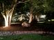 Backyard featuring landscape lighting, a stone wall and towering trees at 3915 Nottaway Rd, Durham, NC 27707