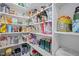 Organized pantry showcasing deep shelves stocked with a variety of food and household items at 3915 Nottaway Rd, Durham, NC 27707