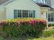 Up close, highlighting the vibrant pink shrubbery that adorns the front of the home at 409 Vista Springs Cir, Holly Springs, NC 27540