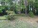 Lush backyard with mature trees and landscaping offering a serene outdoor space at 7412 Barberry Ct, Raleigh, NC 27615