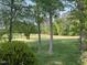 Picturesque backyard view overlooking lush greenery and the golf course at 8 Greenside Ct, Durham, NC 27707