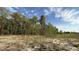 View of a wooded backyard of a new home at 102 Gobbler Dr, Smithfield, NC 27577