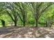 View of a lush backyard showcasing mature trees and play equipment at 103 Trent Woods Way, Cary, NC 27519