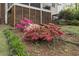 Lush landscaping with blooming azaleas, adding vibrant color to the property's appeal at 105 Bergeron Way, Cary, NC 27519