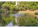 Scenic view of a pond with a fountain, enhancing the community's peaceful atmosphere at 105 Bergeron Way, Cary, NC 27519
