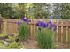 Close up of a border of Iris flowers with a fenced perimeter, mulch bed, and established greenery at 105 Bergeron Way, Cary, NC 27519