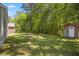 Large backyard with healthy lawn, mature trees, and a storage shed at 1317 Proctor St, Rocky Mount, NC 27801