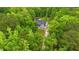 An overhead aerial view of the home surrounded by a thicket of beautiful trees at 179 Carrie Dr, Archer Lodge, NC 27527