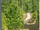 Lush backyard with mature trees, landscaping, and walkway at 1824 Amberly Ledge Way, Cary, NC 27519