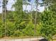 Beautiful lake view from a property surrounded by lush, mature trees at 1824 Amberly Ledge Way, Cary, NC 27519