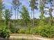 Picturesque lake view surrounded by lush greenery and tall trees at 1824 Amberly Ledge Way, Cary, NC 27519