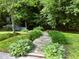 Charming backyard with a wooden path, lush greenery, and a tranquil setting at 1846 Forest Wood Rd, Rocky Mount, NC 27804