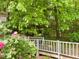 Lush backyard with bridge, trees, green foliage, and bright pink flowers at 1846 Forest Wood Rd, Rocky Mount, NC 27804