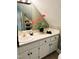 Bright bathroom features a sink, vanity, mirror, and decorative flower arrangement at 1846 Forest Wood Rd, Rocky Mount, NC 27804