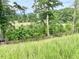 Lot of land for a new home featuring tall grass, surrounded by lush trees at 203 Steel Spring Rd # 21, Angier, NC 27501