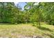 Picturesque view of the expansive backyard with mature trees and lush greenery at 209 N Occoneechee St, Hillsborough, NC 27278