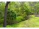 A peaceful green backyard with trees at 209 N Occoneechee St, Hillsborough, NC 27278