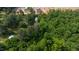 Overhead view of a heavily wooded lot with a home visible in the distance at 2102 Courtland Dr, Sanford, NC 27330