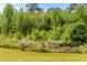 Spacious backyard with mature trees and natural landscaping at 2102 Courtland Dr, Sanford, NC 27330