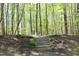 Scenic woodland trail with stone steps leading through a lush, green forest at 221 Ironwoods Dr, Chapel Hill, NC 27516
