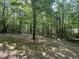 Spacious backyard surrounded by mature trees, offering privacy and a natural setting at 249 Finley Ct, Clayton, NC 27520