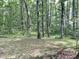 Beautiful wooded backyard offers a private and serene setting at 3648 Sleepy Hollow, Wake Forest, NC 27587