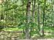 Lush backyard features mature trees, providing shade and privacy at 3648 Sleepy Hollow, Wake Forest, NC 27587