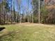 Large backyard area with mature trees, perfect for outdoor activities and enjoying nature at 3818 Hillgrand Dr, Durham, NC 27705