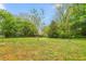 A lush, expansive yard perfect for recreation and enjoying the outdoors at 429 N Asheboro St, Liberty, NC 27298