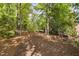 A well-maintained backyard with lush trees, vegetation, and mulched ground at 107 Oxford Creek Rd, Cary, NC 27519