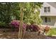 Backyard landscaping with flowering bushes and leafy trees at 107 Oxford Creek Rd, Cary, NC 27519