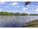 Picturesque lake view with blue sky and lush green trees along the shoreline at 115 White Lake Ct, Cary, NC 27519