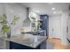 Stylish kitchen features navy cabinets, stainless appliances, marble counters, and bright natural light at 1402 W Lakewood Ave, Durham, NC 27707