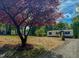 Charming single-story home with a gravel driveway and mature red maple at 1622 Julian Oakley Rd, Rougemont, NC 27572